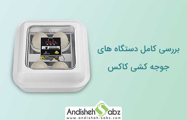 بررسی کامل دستگاه های جوجه کشی کاکس - فروشگاه اینترنتی اندیشه سبز