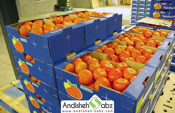 دما و رطوبت سردخانه و انبار مرکبات - اندیشه سبز