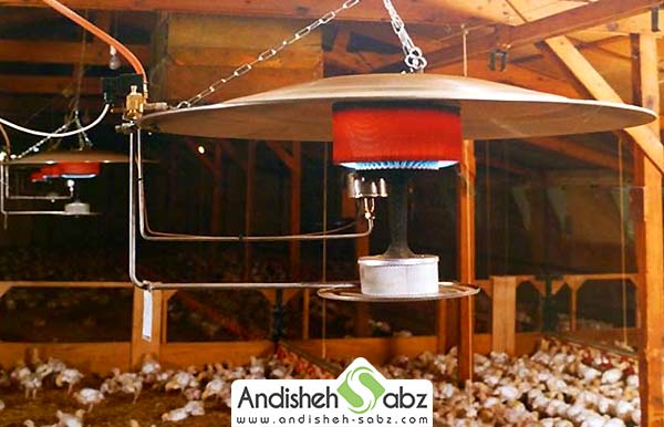 گرمایش مرغداری - اندیشه سبز