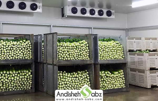 سردخانه میوه و سبزی بالای صفر - فروشگاه اینترنتی اندیشه سبز