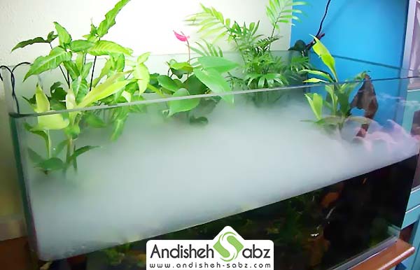 ساخت مه ساز آکواریوم و طریقه نصب آن - فروشگاه اینترنتی اندیشه سبز