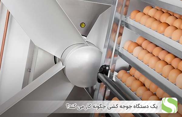 یک دستگاه جوجه کشی چگونه کار می کند - چیکن هچ