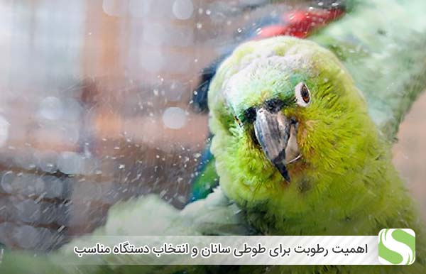 اهمیت رطوبت برای طوطی سانان و انتخاب دستگاه مناسب - اندیشه سبز