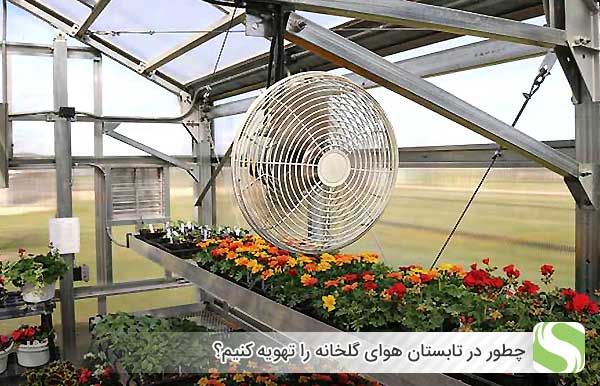 چطور در تابستان هوای گلخانه را تهویه کنیم؟ - اندیشه سبز