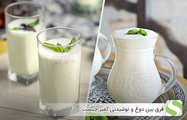 فرق بین دوغ و نوشیدنی کفیر چیست - اندیشه سبز