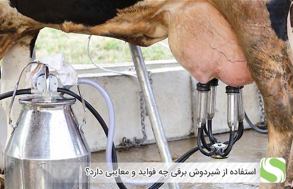 استفاده از شیردوش برقی چه فواید و معایبی دارد؟ - اندیشه سبز