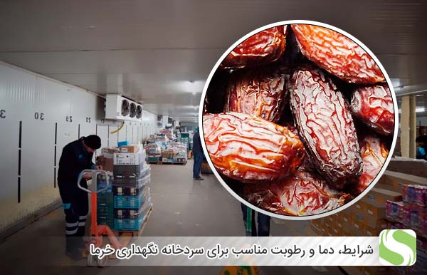 شرایط، دما و رطوبت مناسب برای سردخانه نگهداری خرما - اندیشه سبز
