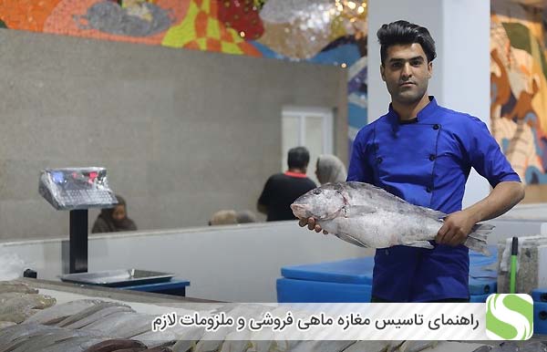 راهنمای تاسیس مغازه ماهی فروشی و ملزومات لازم - اندیشه سبز