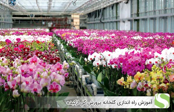 آموزش راه اندازی گلخانه پرورش گل ارکیده - اندیشه سبز