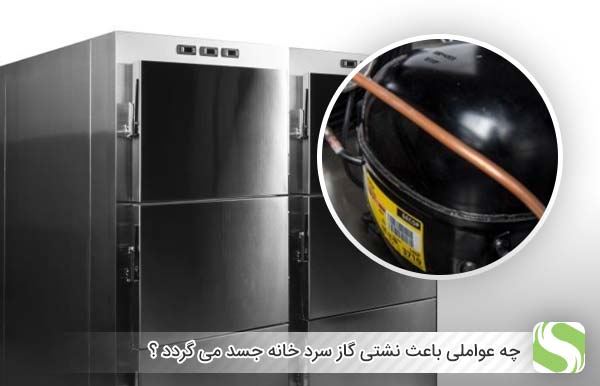 چه عواملی باعث نشتی گاز سرد خانه جسد می گردد ؟ - اندیشه سبز