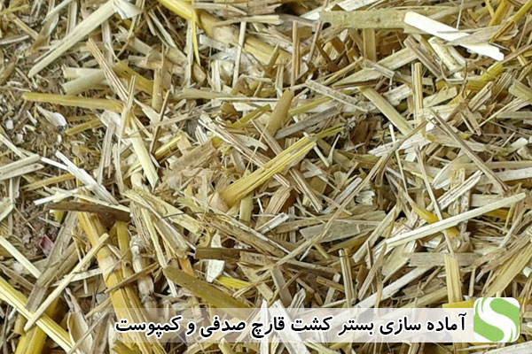 آماده سازی بستر کشت قارچ صدفی و کمپوست - اندیشه سبز
