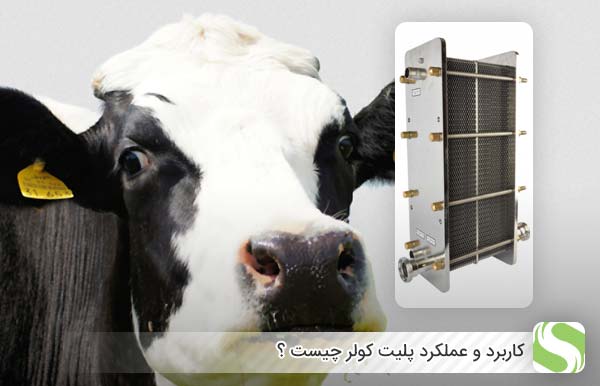 کاربرد و عملکرد پلیت کولر چیست ؟ - اندیشه سبز