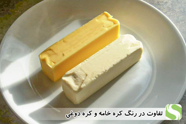 تفاوت در رنگ کره خامه و کره دوغی - اندیشه سبز