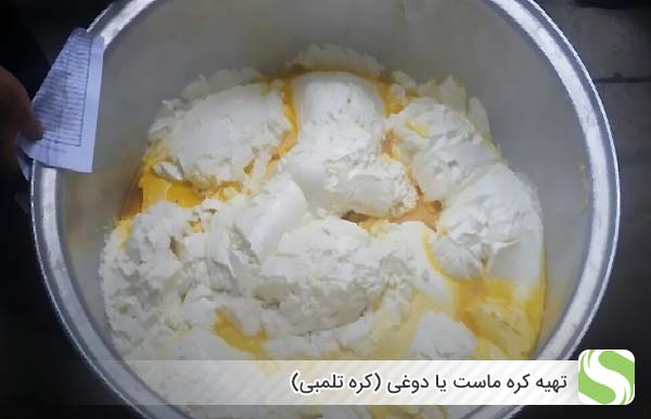 تهیه کره ماست یا دوغی (کره تلمبی) - اندیشه سبز