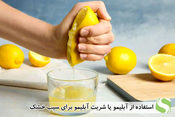 استفاده از آبلیمو یا شربت برای سیب خشک - اندیشه سبز
