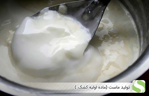 تولید ماست (ماده اولیه کشک ) - اندیشه سبز