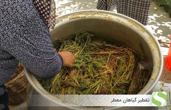 تقطیر گیاهان معطر - اندیشه سبز
