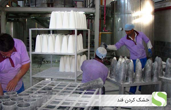 خشک کردن قند - اندیشه سبز