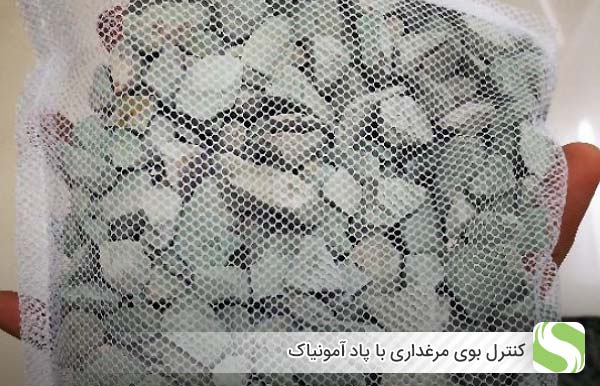 کنترل بوی مرغداری با پاد آمونیاک - اندیشه سبز