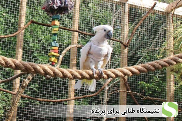نشیمنگاه طنابی برای پرنده - اندیشه سبز