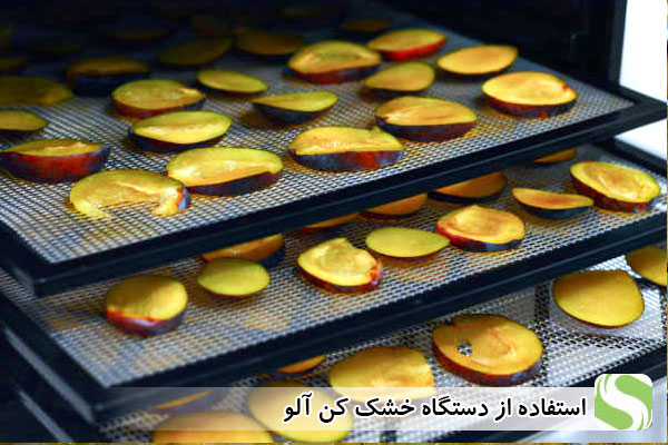 استفاده از دستگاه خشک کن آلو - اندیشه سبز