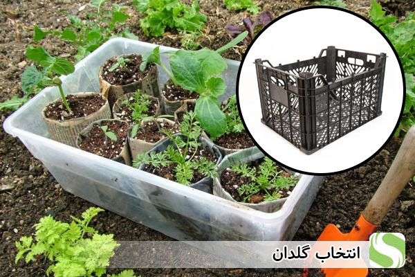 انتخاب گلدان - اندیشه سبز