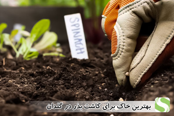 بهترین خاک برای کاشت بذر در گلدان - اندیشه سبز