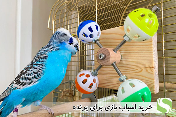خرید اسباب بازی برای پرنده - اندیشه سبز