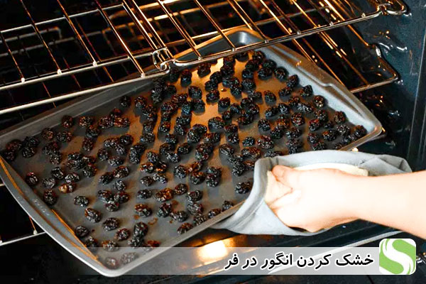 خشک کردن انگور در فر - اندیشه سبز