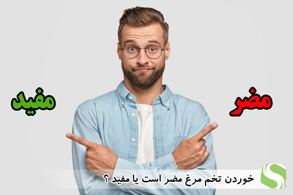 خوردن تخم مرغ مضر است یا مفید؟ - اندیشه سبز