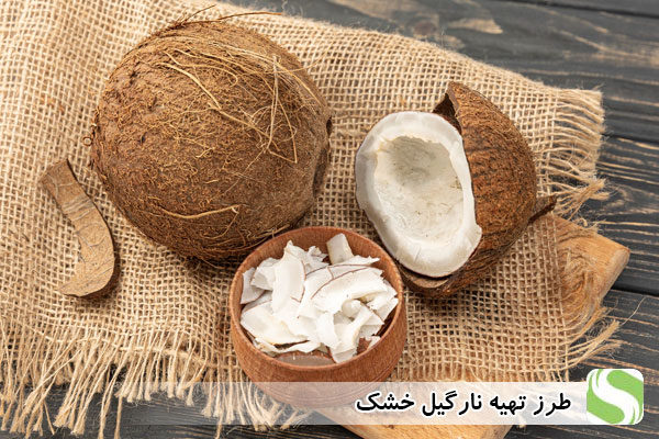 طرز تهیه نارگیل خشک - اندیشه سبز