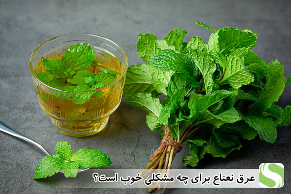 عرق نعناع برای چه مشکلاتی خویب است؟ - اندیشه سبز