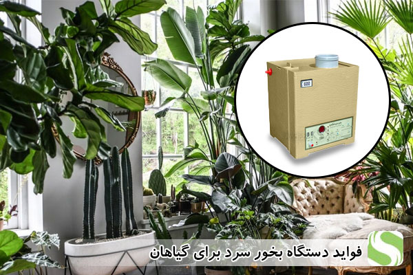 فواید دستگاه بخور سرد برای گیاهان - اندیشه سبز