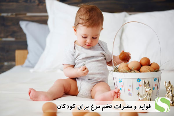 فواید و مضرات تخم مرغ برای کودکان - اندیشه سبز