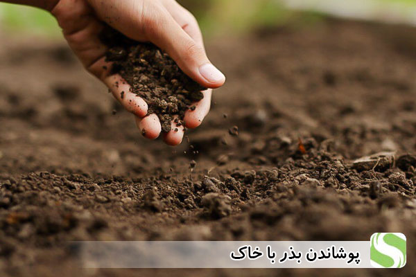 پوشاندن بذر با خاک - اندیشه سبز