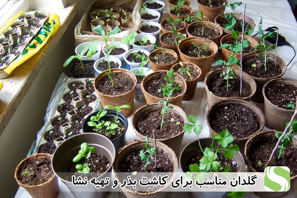 گلدان مناسب برای کاشت بذر و تهیه نشا - اندیشه سبز