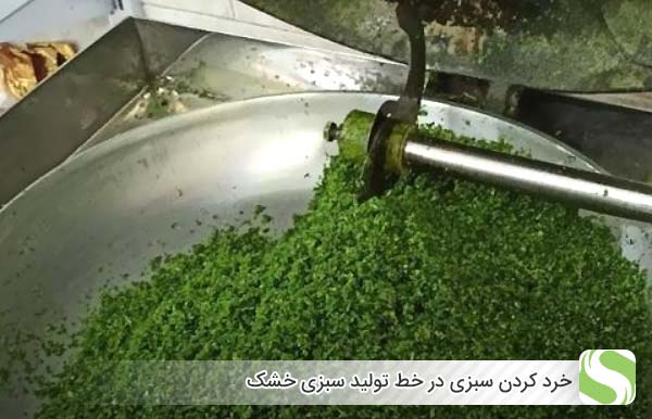خرد کردن سبزی در خط تولید سبزی خشک - اندیشه سبز