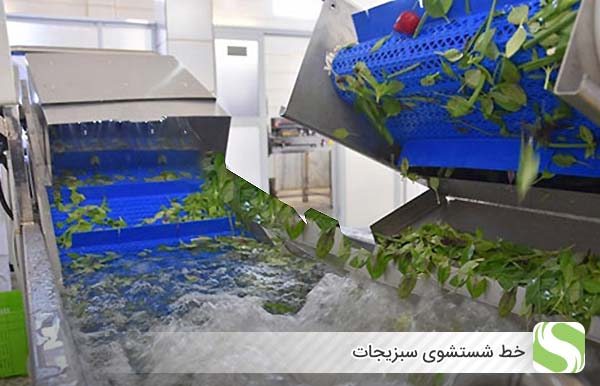 خط شستشوی سبزیجات - اندیشه سبز
