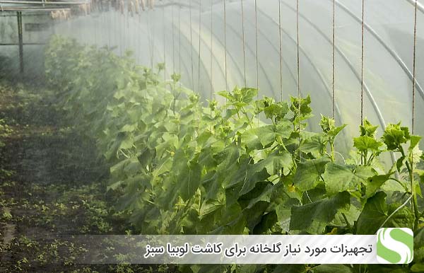 تجهیزات مورد نیاز گلخانه برای کاشت لوبیا سبز - اندیشه سبز