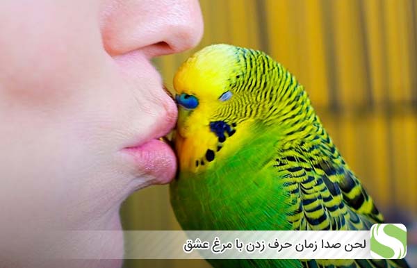 لحن صدا زمان حرف زدن با مرغ عشق - اندیشه سبز