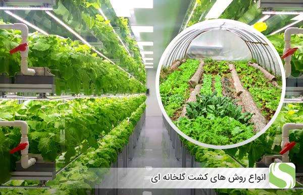 انواع روش‌ های کشت گلخانه‌ ای - اندیشه سبز