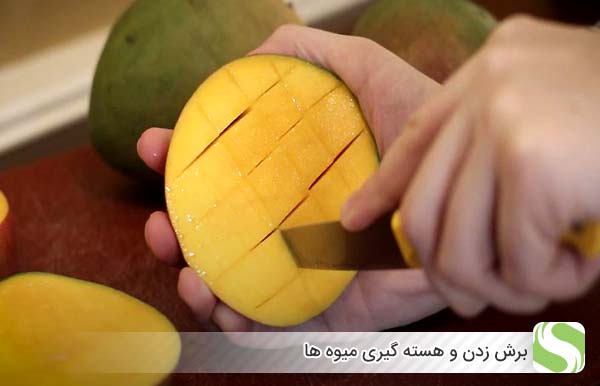 برش زدن و هسته گیری میوه ها - اندیشه سبز
