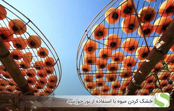خشک کردن میوه با استفاده از نور خورشید - اندیشه سبز