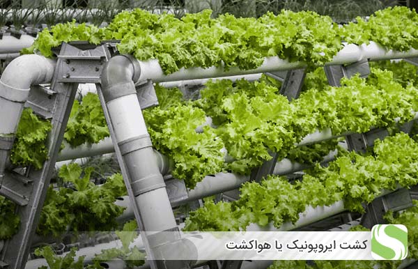 کشت ایروپونیک یا هواکشت - اندیشه سبز