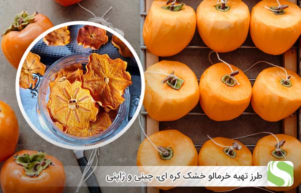 بازرگانی کافه درصد