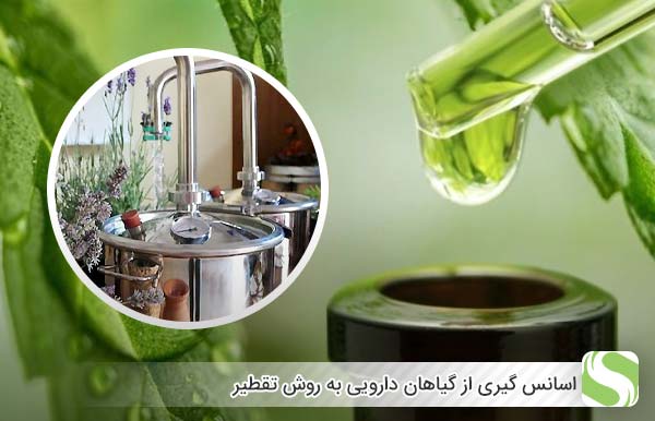 اسانس گیری از گیاهان دارویی به روش تقطیر - اندیشه سبز