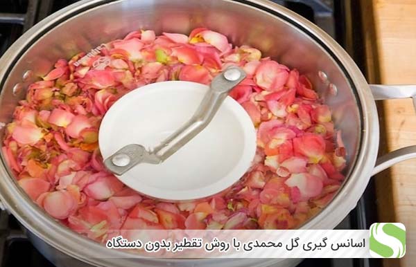 اسانس گیری گل محمدی با روش تقطیر بدون دستگاه - اندیشه سبز