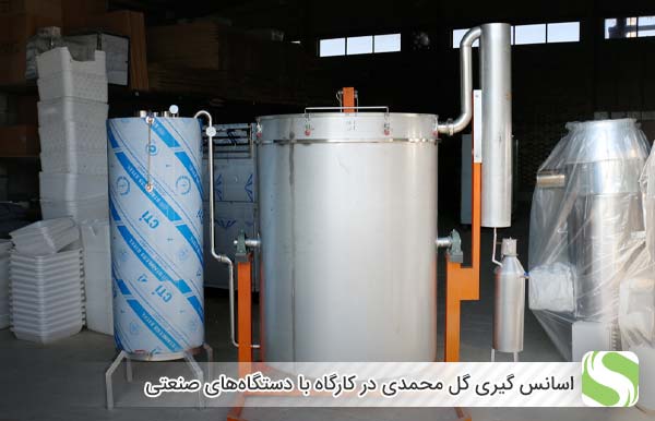 اسانس گیری گل محمدی در کارگاه با دستگاه‌های صنعتی - اندیشه سبز