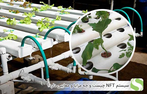 سیستم NFT چیست و چه مزایا و معایبی دارد؟ - اندیشه سبز