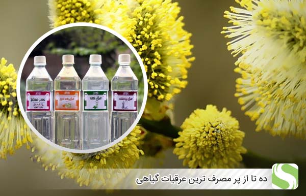 10 تا از پر مصرف ترین عرقیات گیاهی - اندیشه سبز